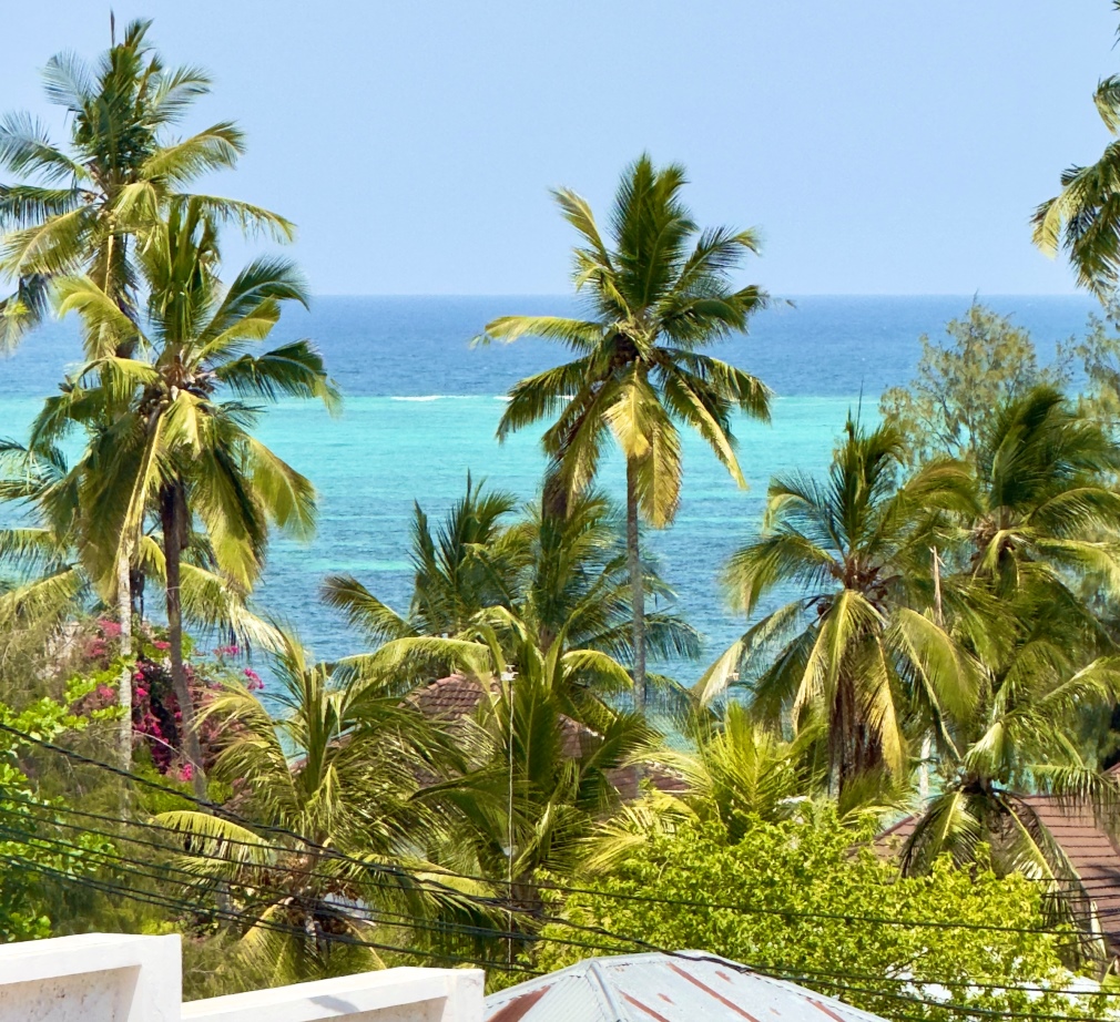 Double Room with Ocean View